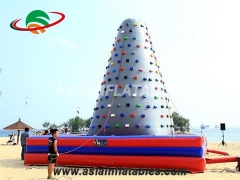 Popular Cartoon Bouncer Popular Indoor Inflatable Rock Climbing Wall For Healthy Sport Games