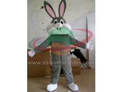 Mascot costume
