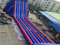 Giant Inflatable Hippo Slide