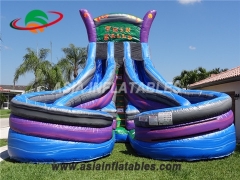 inflatable twin falls water slide with double lane for sale