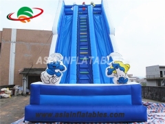 cartoon theme inflatable water slide